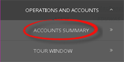 Accounts Summary